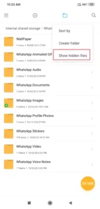show hiden files in whatsapp 